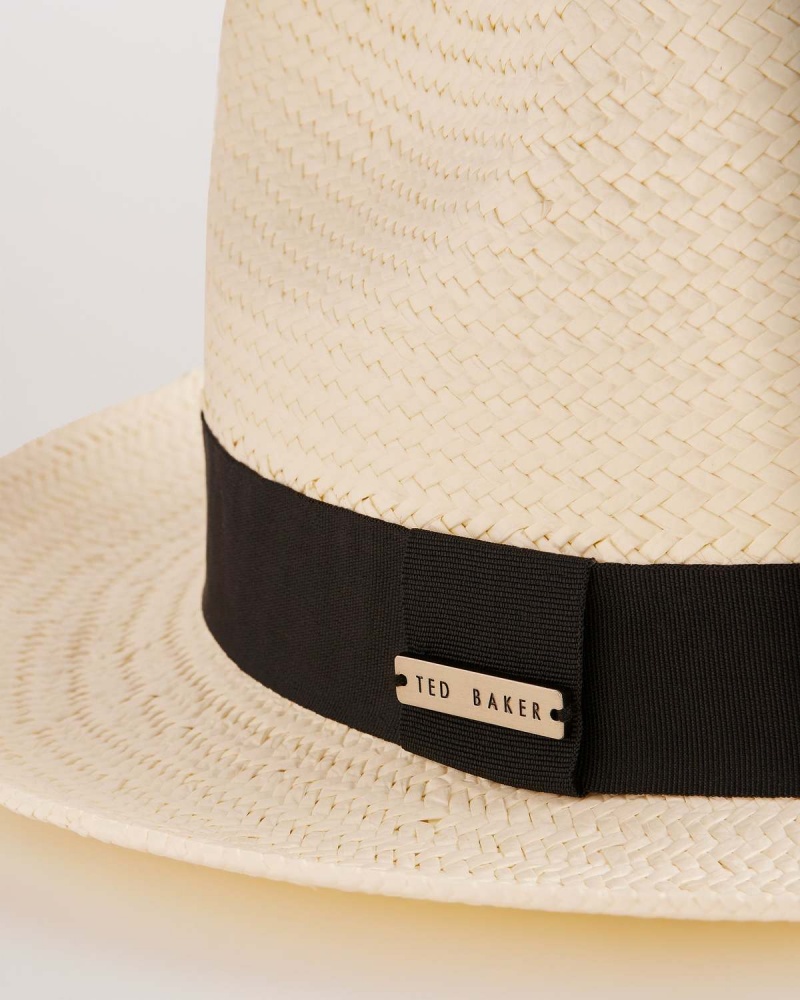 Ted Baker ADRIEN Straw Panama Hat Albi | 419ODGPSM