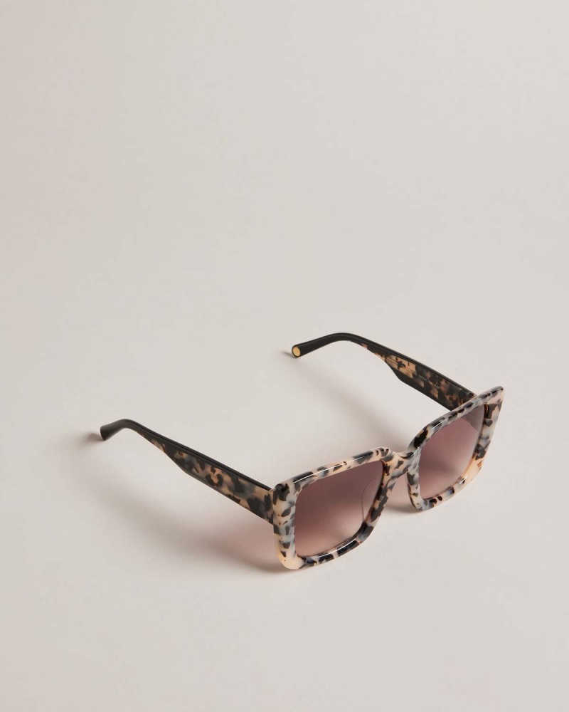 Ted Baker Doxies Grosolan Square Frame Sunglasses Maro | 396QVDYSW