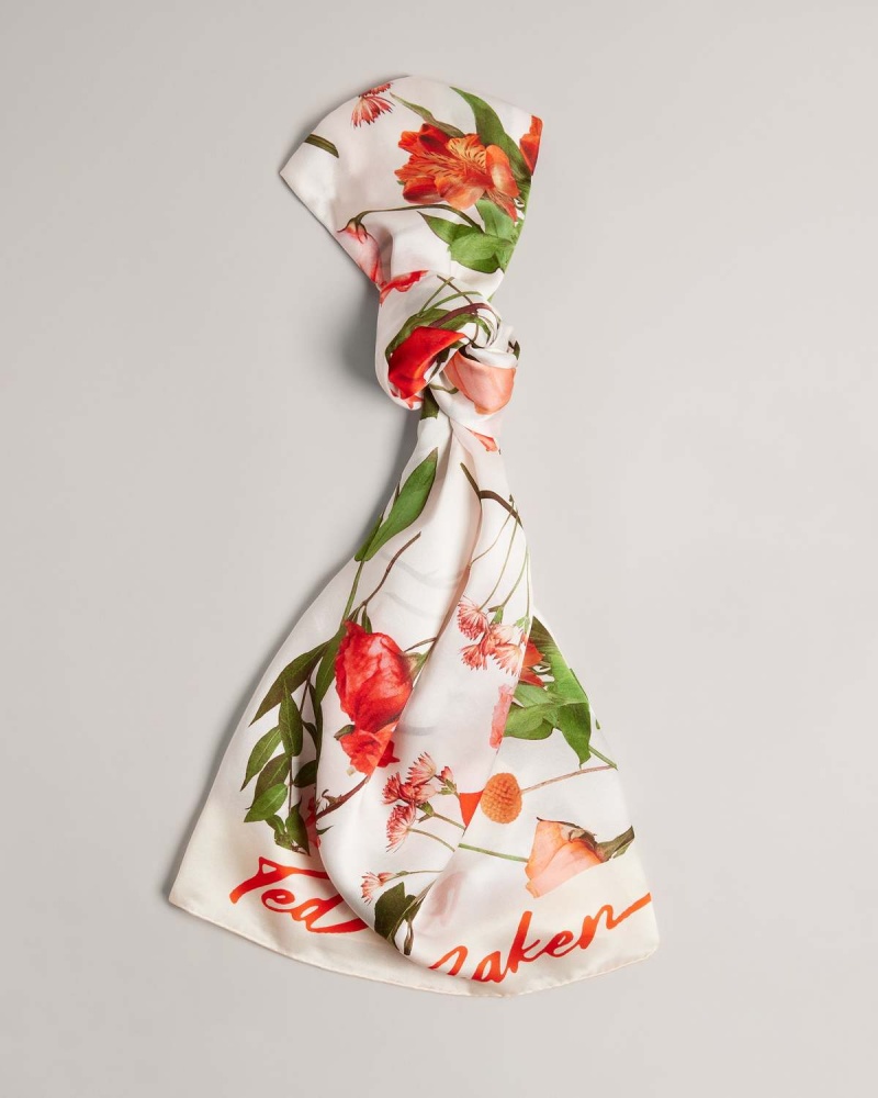 Ted Baker FIONAAS Floral Long Silk Scarf Negrii | 284TQXSKN